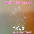 Published on 12/31/2013 ���ֹ�,��½�󷨵��ӹ�ףʦ��Ԫ������(50��)
