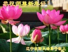 ֹ,󷨵ӹףʦԪ(28)
