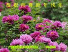 ֹ,󷨵ӹףʦԪ(15)
