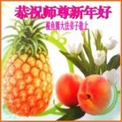 Published on 1/1/2014 ���ֹ�,��½�󷨵��ӹ�ףʦ��Ԫ������(48��)
