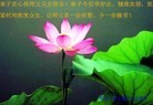 ֹ,󷨵ӹףʦԪ(45)
