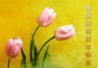 ֹ,żҿڴ󷨵ӹףʦԪ(26)
