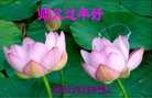 Published on 2/13/2013 ֹ,½󷨵ӹףʦ֣34
