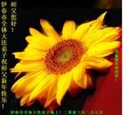 Published on 2/13/2013 ���ֹ�,��½�󷨵��ӹ�ףʦ��������֣�42����
