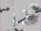 Published on 2/13/2013 ֹ,½󷨵ӹףʦ֣37
