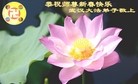 Published on 2/13/2013 ֹ,½󷨵ӹףʦ֣37
