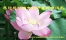 Published on 2/13/2013 ֹ,½󷨵ӹףʦ֣37
