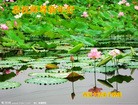 Published on 2/13/2013 ֹ,½󷨵ӹףʦ֣31
