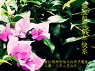 Published on 2/13/2013 ֹ,½󷨵ӹףʦ֣31

