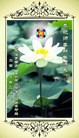 Published on 2/13/2013 ֹ,½󷨵ӹףʦ֣31

