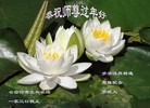 Published on 2/13/2013 ֹ,½󷨵ӹףʦ֣31
