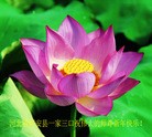 Published on 2/13/2013 ֹ,½󷨵ӹףʦ֣34
