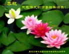 Published on 12/29/2015 ���ֹ�,��½�󷨵��ӹ�ףʦ���������(33��)
