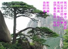Published on 12/29/2015 ���ֹ�,��½�󷨵��ӹ�ףʦ���������(33��)
