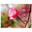 Published on 12/29/2015 ���ֹ�,��½�󷨵��ӹ�ףʦ���������(33��)
