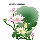 Published on 2/13/2013 ֹ,½󷨵ӹףʦ֣36
