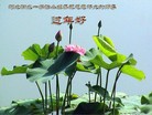 Published on 2/13/2013 ֹ,½󷨵ӹףʦ֣30
