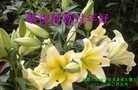 Published on 2/13/2013 ֹ,½󷨵ӹףʦ֣37
