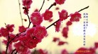 Published on 2/13/2013 ֹ,½󷨵ӹףʦ֣49
