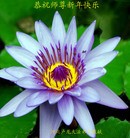Published on 2/13/2013 ֹ,½󷨵ӹףʦ֣30
