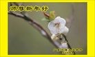 Published on 2/13/2013 ֹ,½󷨵ӹףʦ֣25
