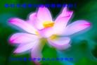 Published on 2/13/2013 ֹ,½󷨵ӹףʦ֣25
