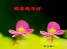 Published on 2/13/2013 ֹ,½󷨵ӹףʦ֣37
