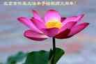 Published on 2/13/2013 ֹ,½󷨵ӹףʦ֣37
