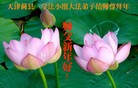 ֹ,½󷨵ӹףʦã45
