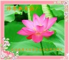 ֹ,½󷨵ӹףʦ֣56
