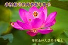 ֹ,½󷨵ӹףʦã42
