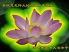ֹ,½󷨵ӹףʦã29
