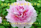 ֹ,½󷨵ӹףʦã42
