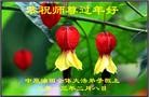 法轮功,大陆大法弟子恭祝师尊新年好（64条）
