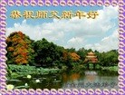 ֹ,½󷨵ӹףʦã64
