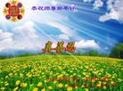 ֹ,½󷨵ӹףʦã64
