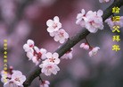 ֹ,½󷨵ӹףʦã64
