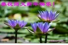 ֹ,½󷨵ӹףʦã45

