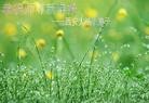 法轮功,大陆大法弟子恭祝师尊新年好（45条）

