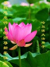 ֹ,½󷨵ӹףʦã45

