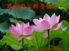 ֹ,½󷨵ӹףʦã45
