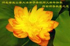 法轮功,大陆大法弟子恭祝师尊新年好（45条）
