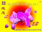 法轮功,大陆大法弟子恭祝师尊新年好（42条）
