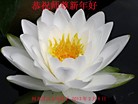 ֹ,½󷨵ӹףʦã42
