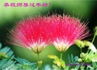 ֹ,½󷨵ӹףʦã42
