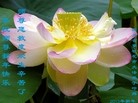 ֹ,½󷨵ӹףʦã42
