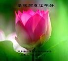 ֹ,½󷨵ӹףʦã43
