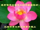 ֹ,½󷨵ӹףʦã43
