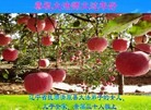 ֹ,󷨵ӹףʦ(24)
