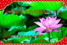 ֹ,«󷨵ӹףʦ(24)
